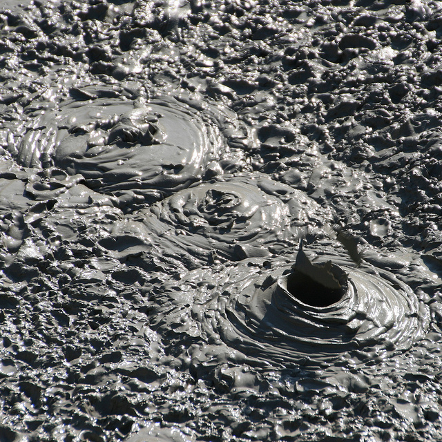 Bubbling Muck Mud